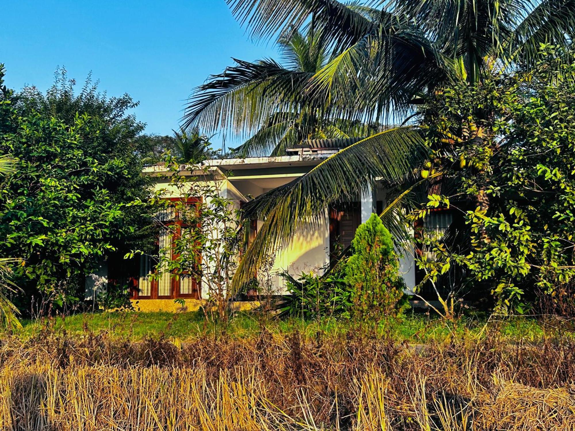 Windy Villa Полонарува Екстериор снимка